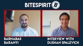 BitEsprit  CoFounder Barnabas Baranyi Interview With Dushan Spalevich for ICO TV VIDEO reiew [upl. by Lowndes]