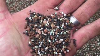 DIY  aerate  grass seed  fertilizer [upl. by Solnit]