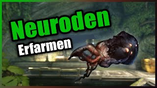 Warframe  Neuroden Erfarmen 2021 Deutsch [upl. by Koslo]