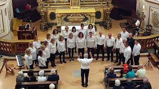 El canto de la sposa  Arm Luigi Pigarelli  Coro Montecastello diretto da Giacomo Monica [upl. by Ecirbaf]