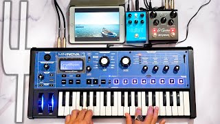 MININOVA Adventures 4  Ambient Pads feat STRYMON Cloudburst  El Capistan [upl. by Eniamsaj]