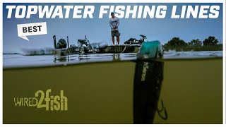 Best Topwater Fishing Line Tips from Lee Livesay [upl. by Anihc369]