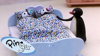 Pingu The Babysitter 🐧  Pingu  Official Channel  Cartoons For Kids [upl. by Greeson]