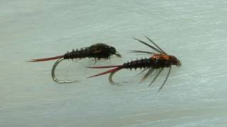 Tying the Mahogany MayFly Nymph by Davie McPhail [upl. by Steinway371]