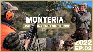 MONTERIA What´s All About 🔥 Traditional Spanish DRIVEN HUNT for Wild Boar [upl. by Sibilla422]