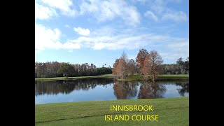 Innisbrook Island course [upl. by Hoopen]