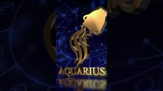 Aquarius Horoscope Today Organization Relationship Support and Financial Caution [upl. by Ahsinrac207]