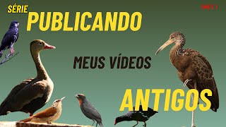 Muitas imagens guardadas  vou compartilhar todas a começar por esse vídeo [upl. by Nhguavad]