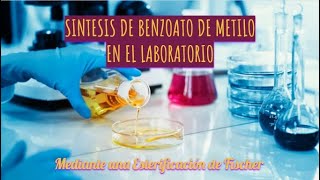 Síntesis de Benzoato de metilo en el laboratorio  Esterificación de Fischer  Fundamentos [upl. by Eaton]