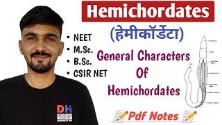 Hemichordates In Hindi  General Characters Of Hemichordates  Hemichordata  By Dadhich Sir [upl. by Roban]