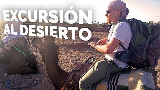 🐫EXCURSIÓN AL DESIERTO de Zagora en camello 🏜️  Marruecos 44 [upl. by Squires]