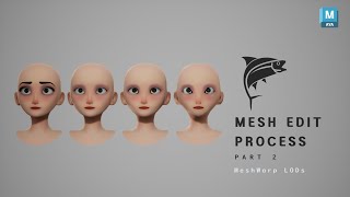 TunaMetaPack  Mesh Edit Process Part 2 All LODs amp Other Meshes with meshWarp [upl. by Nnaycart389]