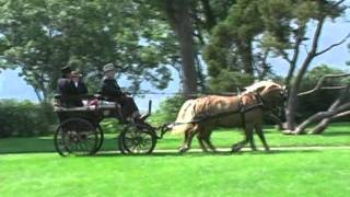 Horse amp Carriage at Boscobel Restoration Garrison NY [upl. by Anreval]