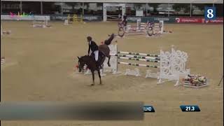 Guinness  Show Jumper  Centadel  2017  Gelding [upl. by Attenaj]