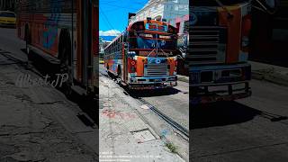 Rico T3 de la 52 😏 Buses salvadoreños Bus Shorts  Albert JP  automobile camion trucker [upl. by Loveridge]