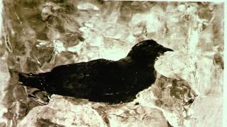 Passenger Pigeon Martha 100 Years Later  Cincinnati Zoo [upl. by Gilmore21]