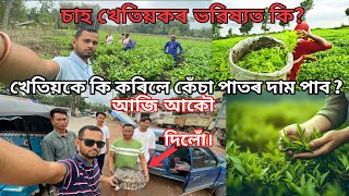 চাহ খেতিয়কে কি কৰিলে কেঁচা পাতৰ দাম পাব Tea Garden Small Tea Growers [upl. by Busch835]