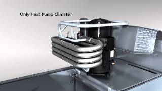 Winterhalter Conveyor dishwasher  Heat Pump [upl. by Einalem]