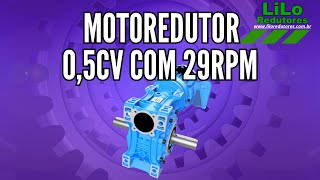 Motoredutor WCG01 com Motor de 05cv e 29rpm Weg Cestari Trifásico 160 NDJ [upl. by Aicilic679]