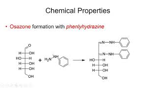 Carbohydrates Physical and Chemical Properties  Lecture 6b [upl. by Demy]