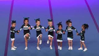 Cheer Sport Pocket Sharks Tiny Prep 1 [upl. by Atiuqat673]