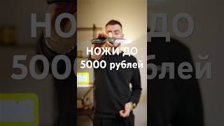 Ножи до 5000 рублей нож ножи [upl. by Horten]