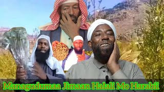 Sheikh Amin Ibro Magudumaa Sh Ali Jimmaa Fi Ummataa Jiduti Jimaan Iraa 20 October 2023 [upl. by Anisamot]