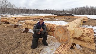 Building My Log Home Pt 4  Scribing the First Logs Onto the Wall [upl. by Woodruff357]