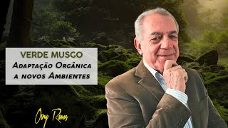 VERDE MUSGO ADAPTAÇÃO ORGÂNICA A NOVOS AMBIENTES [upl. by Rabaj]