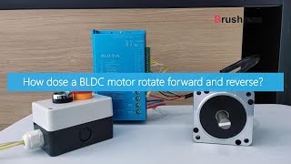 Wiring a Controller to Reverse a BLDC Motor 24V48V [upl. by Noah]