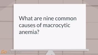 What are the causes of macrocytic anemia [upl. by Marcile]