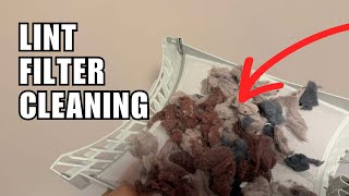 LG Tumble Dryer Lint Filter Trap Cleaning  Dryer Maintenance [upl. by Mommy]