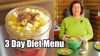 Beckys 3 Day Diet Menu [upl. by Clayborne]