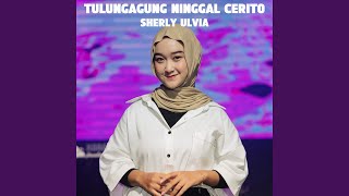 Tulungagung Ninggal Cerito [upl. by Leissam]