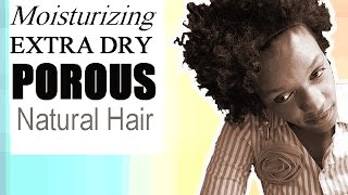 Get High Porosity Curly Natural Hair to Stay Moisturized Longer  LOC Method On Dry Black Hair [upl. by Hendrik]