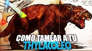 COMO TAMEAR A TU THYLACOLEO  Guia Español  Ark Survival Evolved [upl. by Naillimxam]