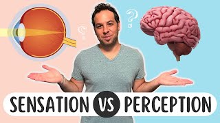 Sensation vs Perception Whats the Difference [upl. by Soraya]