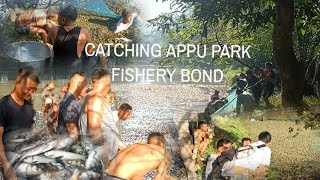 Catching fish from Appu Park fishery bond🤗 for family welfarewatch till the end 👉 [upl. by Adiari]