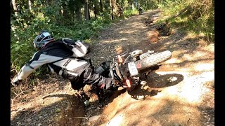 Dave falls off Today we go to the Junction camp site on the Nymboida River near Coffs Harbour NSW [upl. by Sebastian]