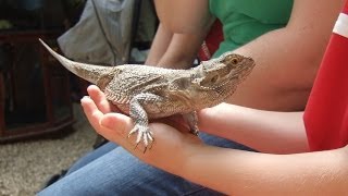 TROPIQUARIA Zoo Animals amp Fun Park Great Family Day Out [upl. by Krystyna]