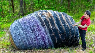 BREAKING Harvest TARO MOONROOT Goes to Market Sell Ella Daily Life [upl. by Ayerdna674]