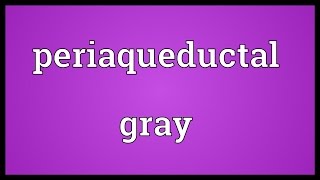 Periaqueductal gray Meaning [upl. by Notslah]