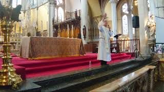 Fr Jim Blount SOLT  Cenacle Charismatic Prayer Group  London 3 [upl. by Orten]