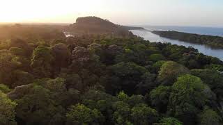 Tortuguero National Park  Costa Rica 4K [upl. by Gahan]