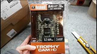 Trail Cam Adventure  Bushnell Trophy Cam 24MP Review [upl. by Dupaix]