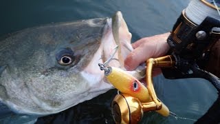 Penn Slammer 3 Fishing Reel Review [upl. by Okorih]