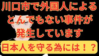 【川口市で発生した外国人による許せない事件の話】元ヤクザが解説します！ [upl. by Feriga]