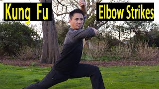 Shaolin Kung Fu Elbow Strikes Training  Da Hong Fist 大洪拳 [upl. by Acirema]