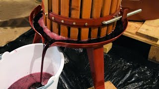 Home Winemaking From Grapes  Red Grape Wine and White Grape Wine  Demonstration and Tips [upl. by Drol]