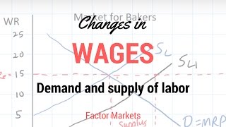 Labor Markets  Change in in Equilibrium Wage Rate and Level of Employment [upl. by Beatrice221]